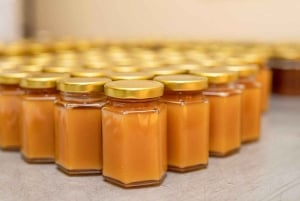 Zanzibar : Île de Mnemba, Aquarium de Tortues et Plage de Kendwa