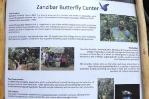 ザンジバル：ヒトデ、シュノーケリング、ブルーラグーンアドベンチャーをお楽しみください