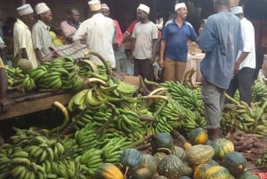 Île de Pemba : visite de Chake Chake et Kidike, et découverte des roussâtres de Pemba