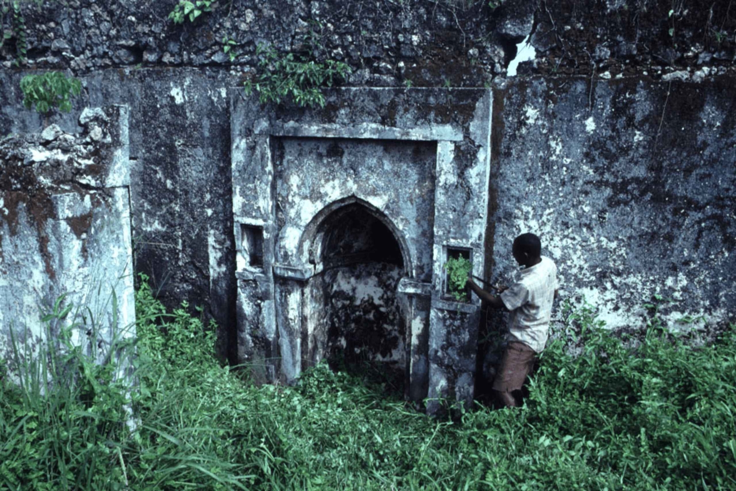 Pemba Island: Chake Chake and Mkama Ndume Guided Tour