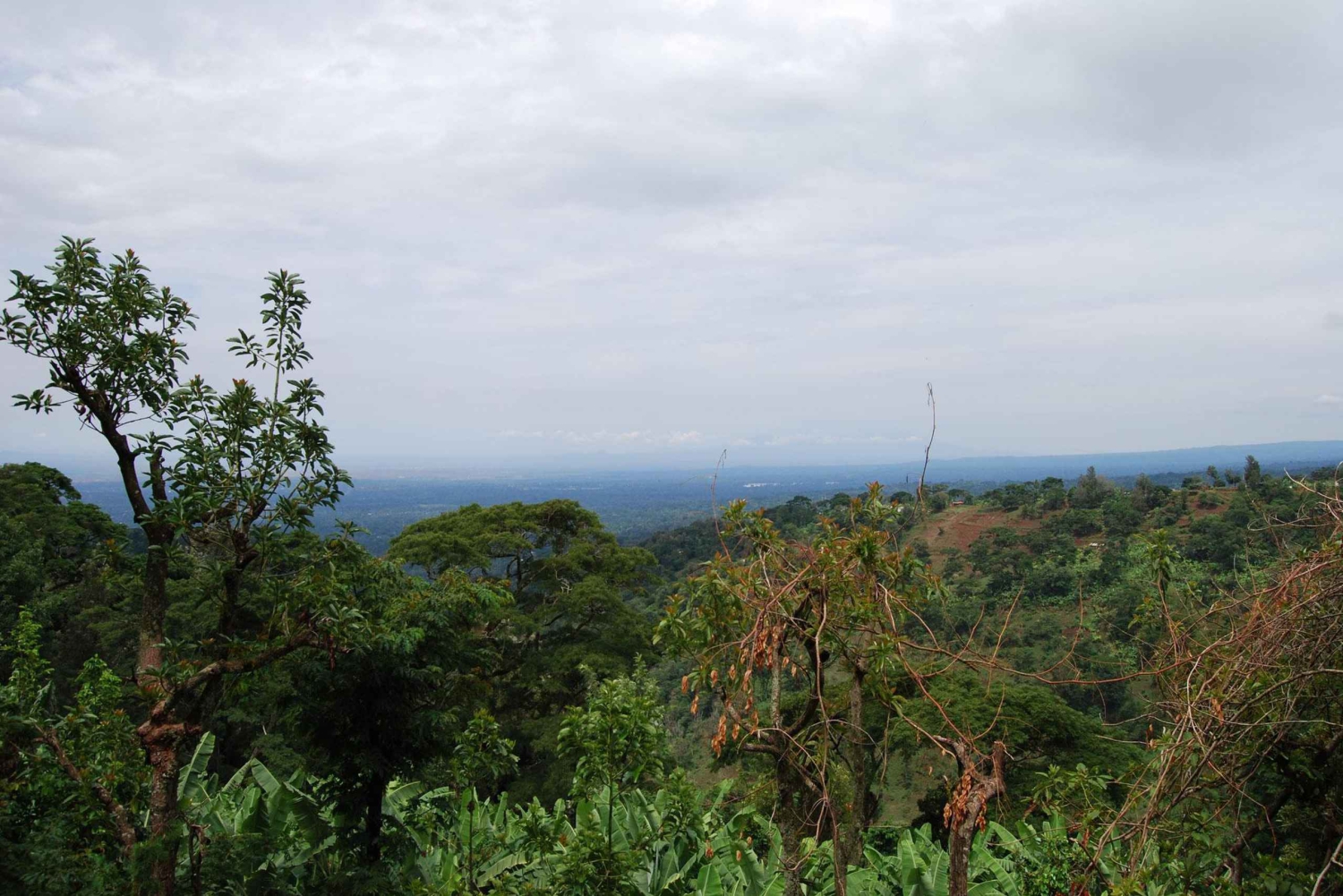 زنجبار: جولة إرشادية في المدينة الحجرية مع تذكرة سوق العبيد
