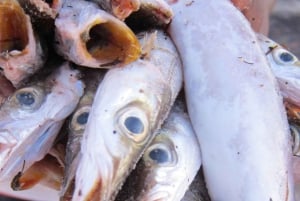 Zanzibar: Stone Town, Spice Tour, Prison Island