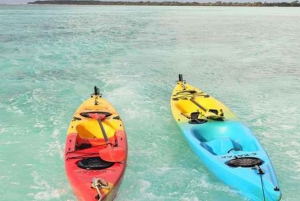 Zanzibar: Jozani-skoven, Salaam-grotten og The Rock-restauranten