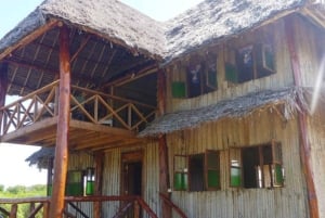 ZANZIBAR: Kruidenboerderijtour, Jozani Forest & Rock restaurant
