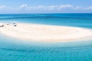 ZANZIBAR: Kruidenboerderijtour, Jozani Forest & Rock restaurant