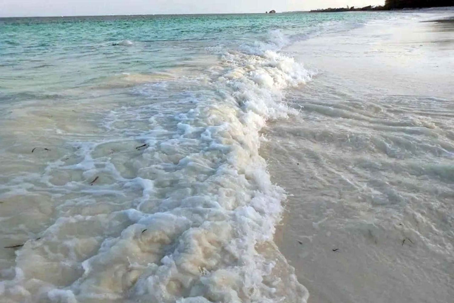 Pemba Island: Fundu Lagoon Sandbank & Snorkeling Tour