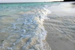 Pemba Island: Fundu Lagoon Sandbank & Schnorcheltour