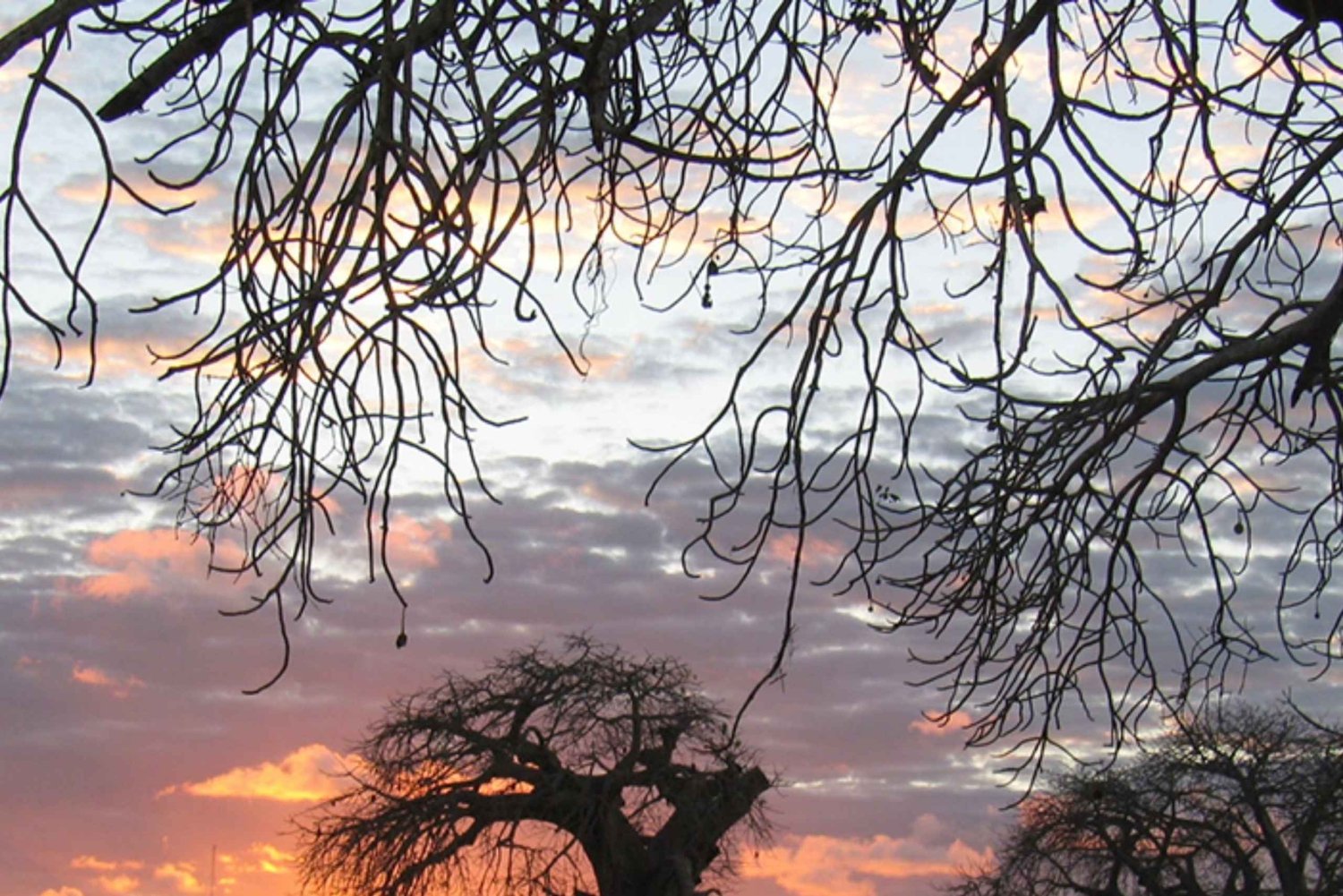 Zanzibar: Prison Island og Nakupenda Sandbank-tur