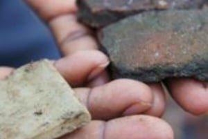 Zanzibar: Prison Island og Nakupenda Sandbank-tur