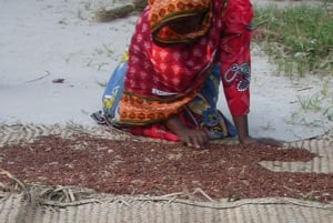 Zanzibar: Prison Island og Nakupenda Sandbank-tur