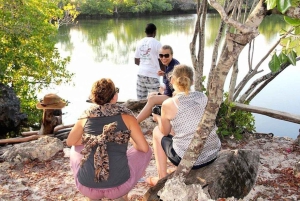 Zanzibar: Jozani Forest, Spice Farm, & Stone Town with Guide
