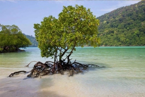 Zanzibar: Blue Lagoon, Starfish, Horseback Riding & The Rock