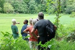 Île de Pemba : visite guidée du village de Makangale