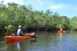 Zanzibar: Jozani Forest en Salaam Cave Tour