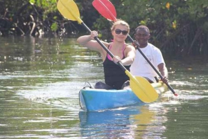 Zanzibar: Jozani Forest en Salaam Cave Tour