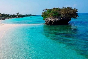 Pemba-øen: Snorkling på Misali-øen og Chake Chake-tur