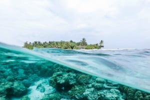 Остров Пемба: сноркелинг-тур на остров Мисали с обедом