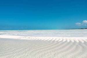 Île de Pemba : excursion dans la forêt de Ngezi et à la plage de Vumawimbi
