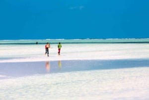 Île de Pemba : excursion dans la forêt de Ngezi et à la plage de Vumawimbi