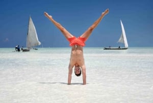 Île de Pemba : excursion dans la forêt de Ngezi et à la plage de Vumawimbi