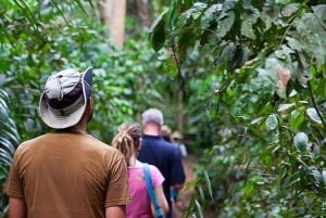 Isla de Pemba: tour guiado por el bosque de Ngezi