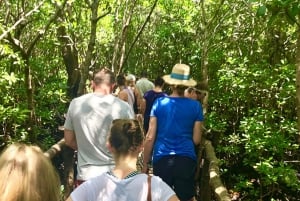 Zanzibar: Tur til Jozani-skogen, Kuza-grotten og Rock Restaurant