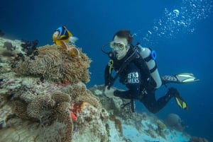 ザンジバル：ストーンタウン、シュノーケリング、ヒトデとウミガメをご覧ください