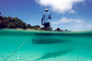 ザンジバル：ストーンタウン、シュノーケリング、ヒトデとウミガメをご覧ください