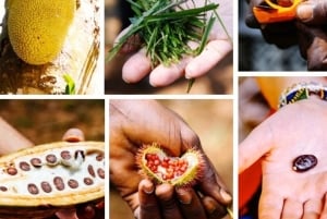 Pemba Island: Krydderifarm og byrundtur i Chake Chake