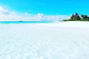 جزيرة بيمبا: مزرعة التوابل وشاطئ فوماويمبي وجولة مناراني