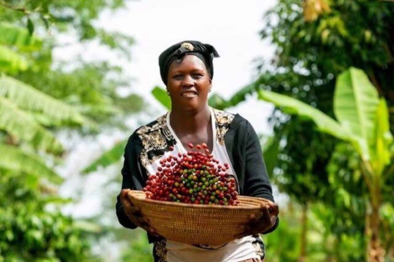 Isola di Pemba: tour del villaggio di Tumbe e dell'isola di Kojani con pranzo