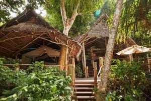 Isola di Pemba: tour del villaggio di Tumbe e dell'isola di Kojani con pranzo