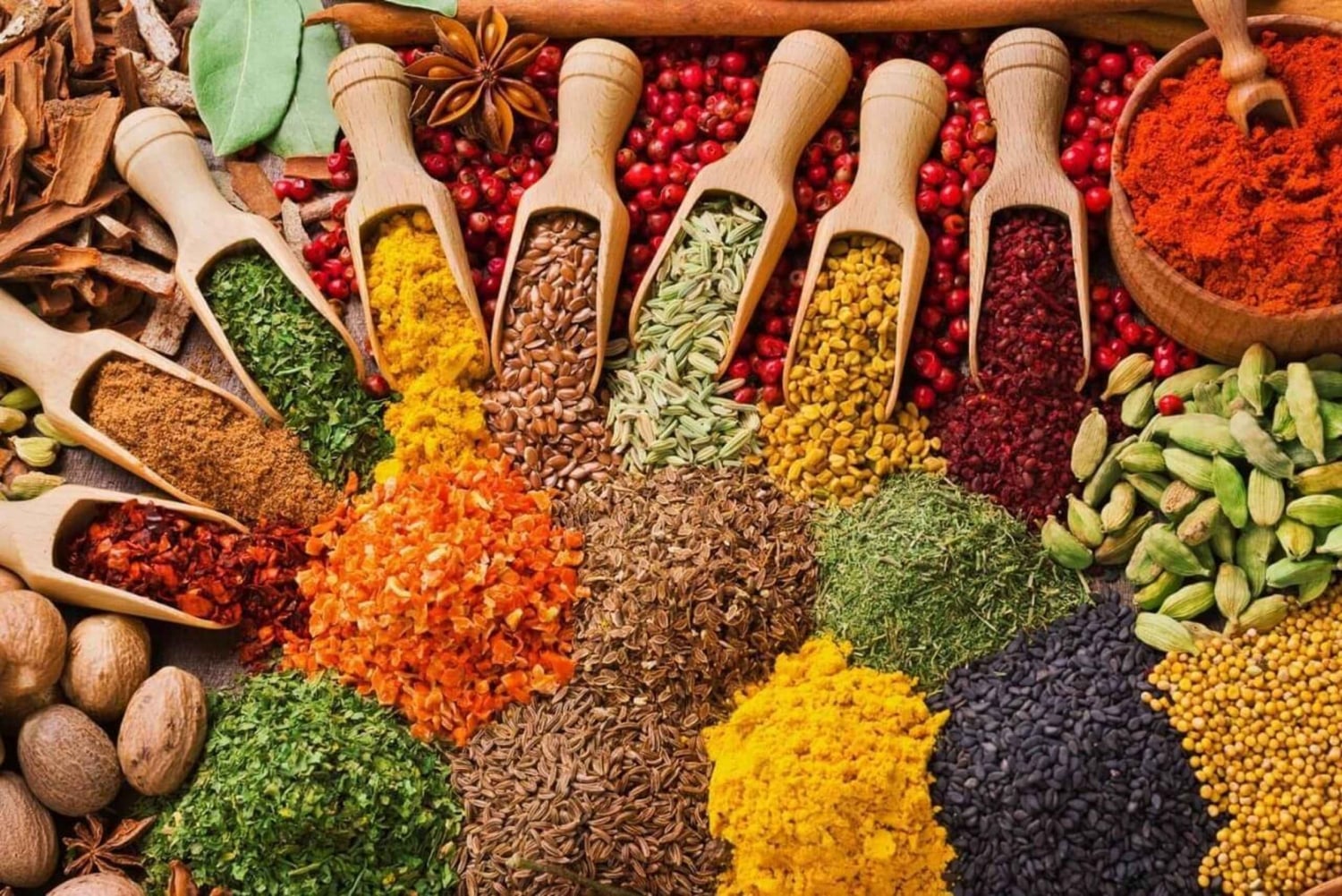 Wyspa Pemba: wycieczka na plażę Vumawimbi i farmę przypraw