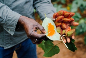 Wyspa Pemba: wycieczka na plażę Vumawimbi i farmę przypraw
