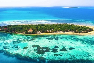 Wyspa Pemba: wycieczka na plażę Vumawimbi i farmę przypraw