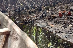 ペンバ島：ヴマウィンビビーチツアー（軽食付き）