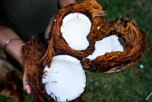 Ilha de Pemba: visita à produção de óleo de coco em Wesha