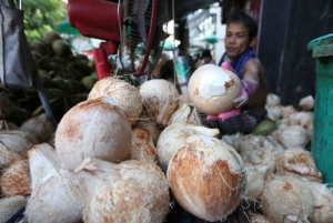 Ilha de Pemba: visita à produção de óleo de coco em Wesha
