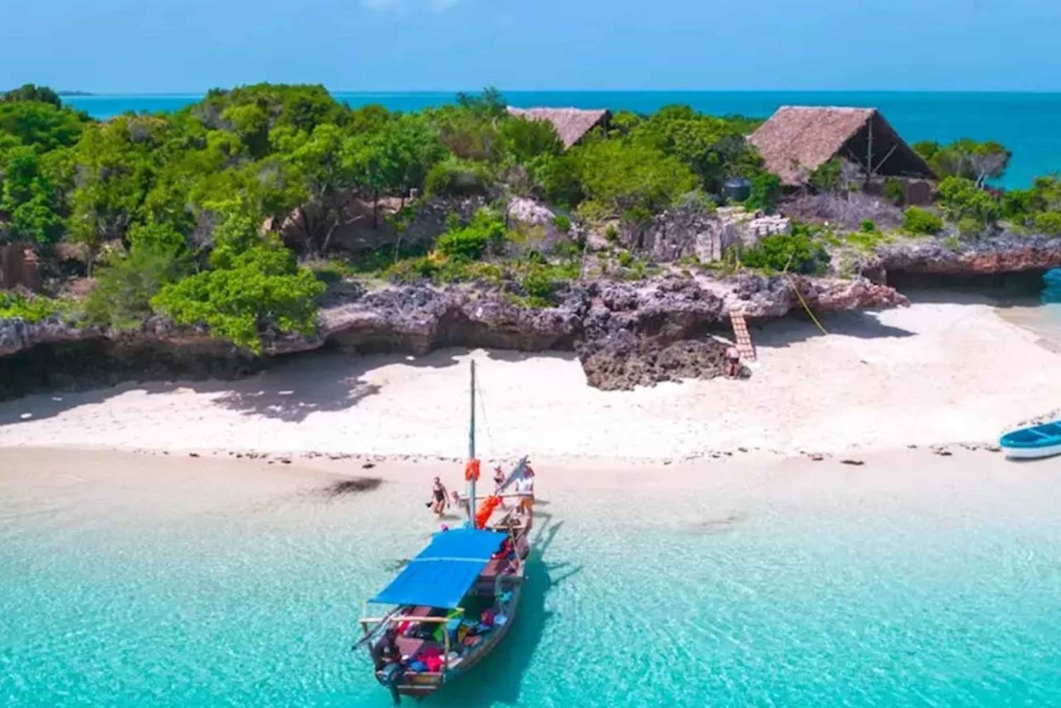 Zanzibar: Stone Town, Jozani Forest, Lunch & Paje Beach tour
