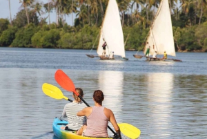 Zanzibar: Jozani Forest Tour