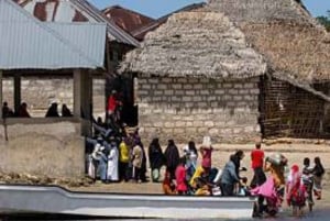 Zanzíbar: isla de la Prisión y encuentro con tortugas gigantes.