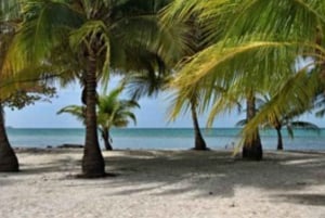 Pemba: Makoongwe Island Tour with Sunset Cruise