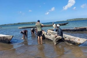 Pemba: Mangrove Forest and Coral Reef Snorkeling Tour
