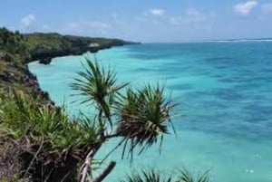 Pemba : visite guidée de la mangrove de Mchangamkuu et de la construction de boutres