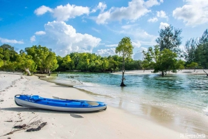 Zanzibar: delfiny w Mnemba, akwarium żółwi i rejs o zachodzie słońca