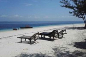 Zanzibar: delfiny w Mnemba, akwarium żółwi i rejs o zachodzie słońca