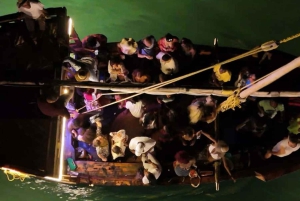 SALAAM-LUOLA: Ui kilpikonnien kanssa ja nauti illallinen The Rock -ravintolassa