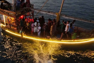 SALAAM-LUOLA: Ui kilpikonnien kanssa ja nauti illallinen The Rock -ravintolassa