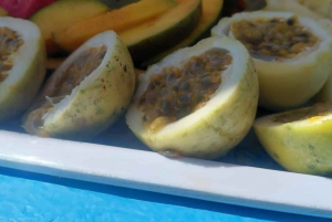 SALAAM-LUOLA: Ui kilpikonnien kanssa ja nauti illallinen The Rock -ravintolassa