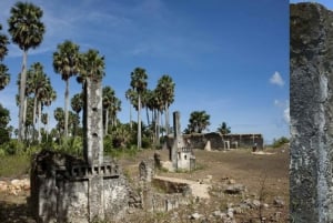 Zanzibar: Mnemba båttur og delfin, snorkling med grilling lunsj